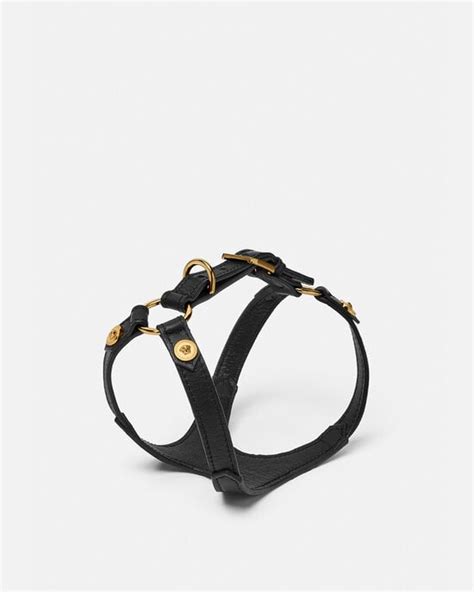 collare per cani versace|Accessori di Lusso per Cani e Gatti .